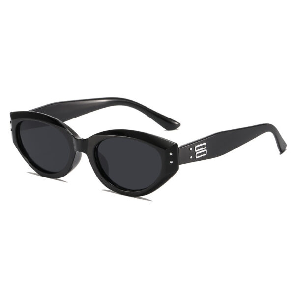 YJ029 Sunglasses Fashionable Retro Cat Eye Frame - 图片 3
