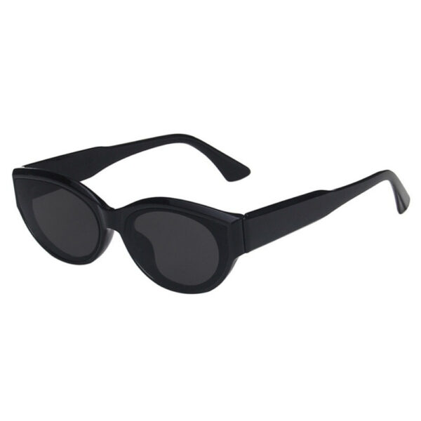 YJ024 Sunglasses Cat-eye Frame Fashionable Leg Style