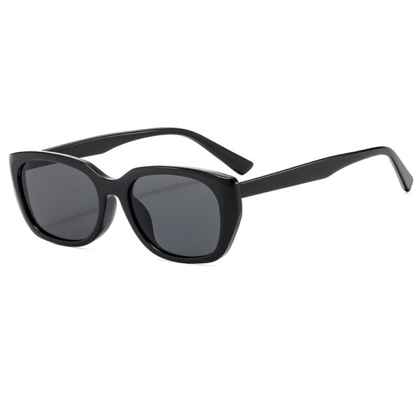 YJ067 Sunglasses Hot Sale Popular Personalized Oval Frame - 图片 3