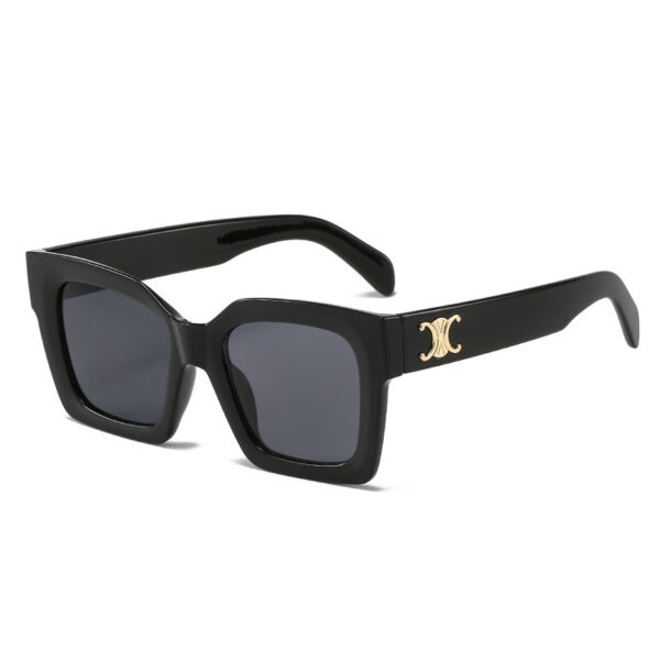 YJ058 Sunglasses Personalized Thick Edged Square Frame - 图片 3