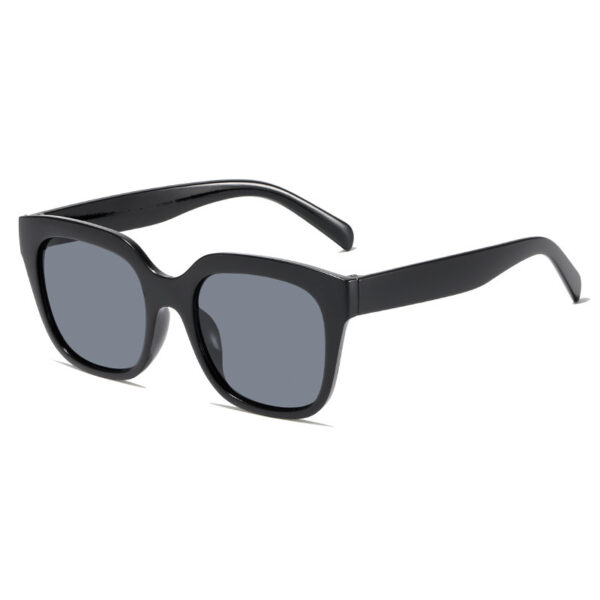 YJ057 Sunglasses Fashionable Concise Style Large Frame - 图片 3