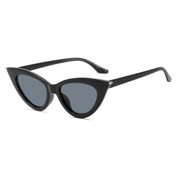 YJ055 Sunglasses Fashionable Small Cat-eye Frame - 图片 3