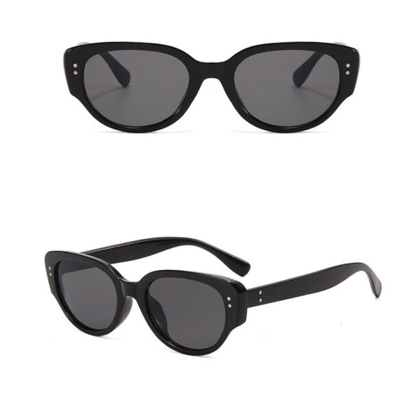 YJ017 Sunglasses Classic Retro Cat-eye Frame - Image 2