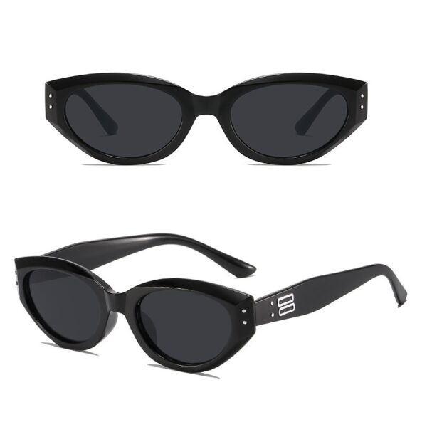 YJ029 Sunglasses Fashionable Retro Cat Eye Frame - 图片 4