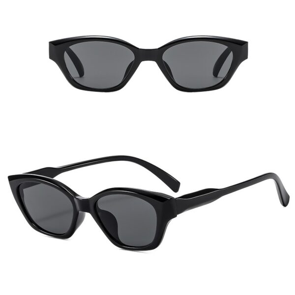 YJ041 Sunglasses Hot Sale Cat Eye Frame - 图片 4