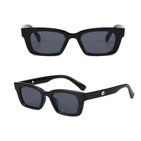 YJ045 Sunglasses Simple Fashionable Decorated Leg - 图片 4