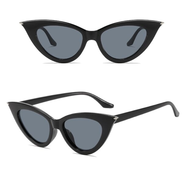 YJ055 Sunglasses Fashionable Small Cat-eye Frame - 图片 4