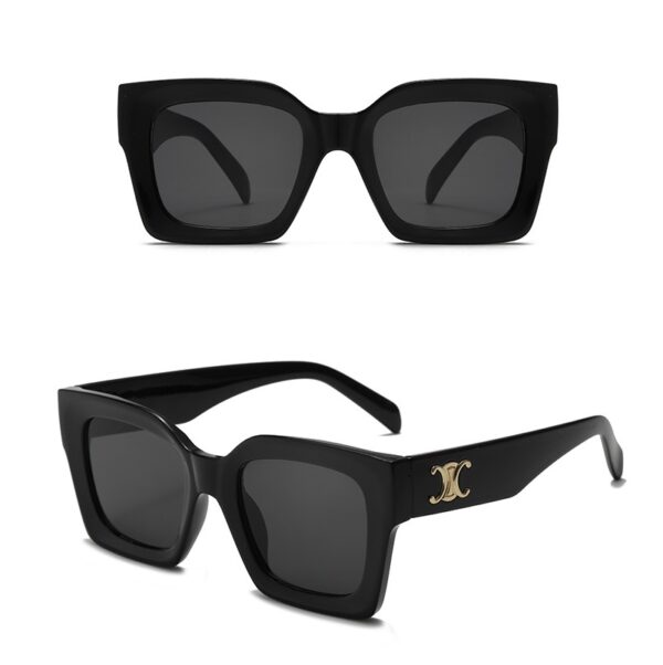 YJ058 Sunglasses Personalized Thick Edged Square Frame - 图片 4
