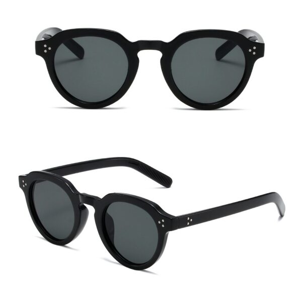 YJ059 Sunglasses Classic Thick Round Frame Fashionable - 图片 4