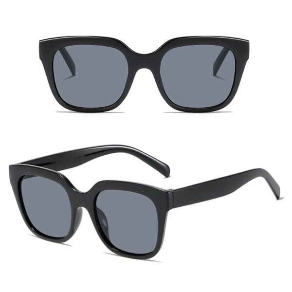 YJ057 Sunglasses Fashionable Concise Style Large Frame - 图片 4