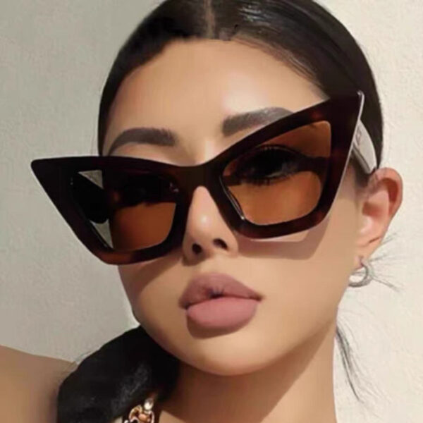 YJ035 Sunglasses Exaggerated Cat Eyes Large Frame