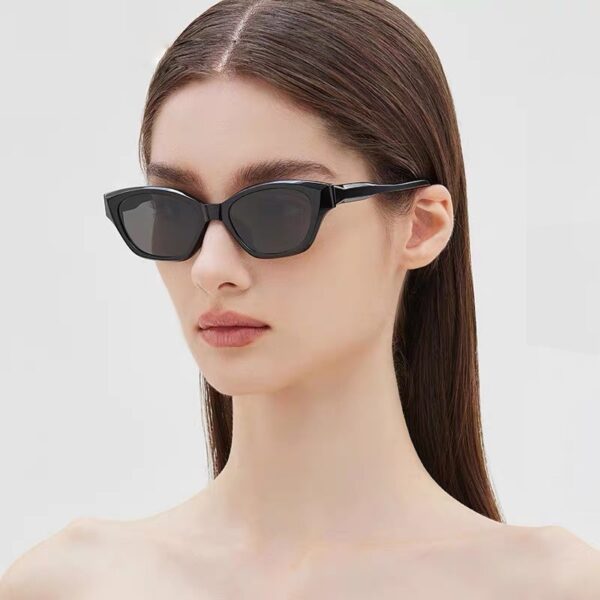 YJ041 Sunglasses Hot Sale Cat Eye Frame - 图片 2
