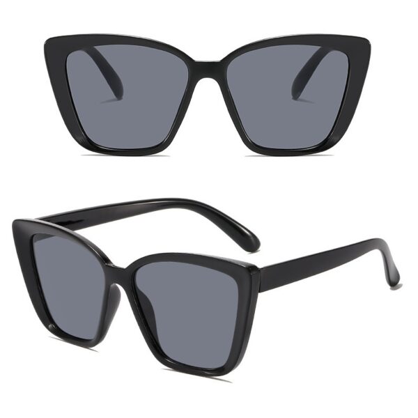 YJ086 Sunglasses Fashionable Cat Eye Minimalist Style for Women - 图片 4